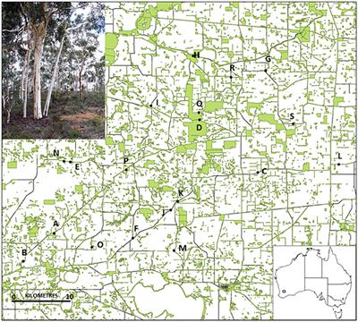 Altered Soil Properties Inhibit Fruit Set but Increase Progeny Performance for a Foundation Tree in a Highly Fragmented Landscape